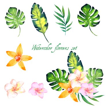 Suluboya çiçek tasarımlarınız için ayarla.