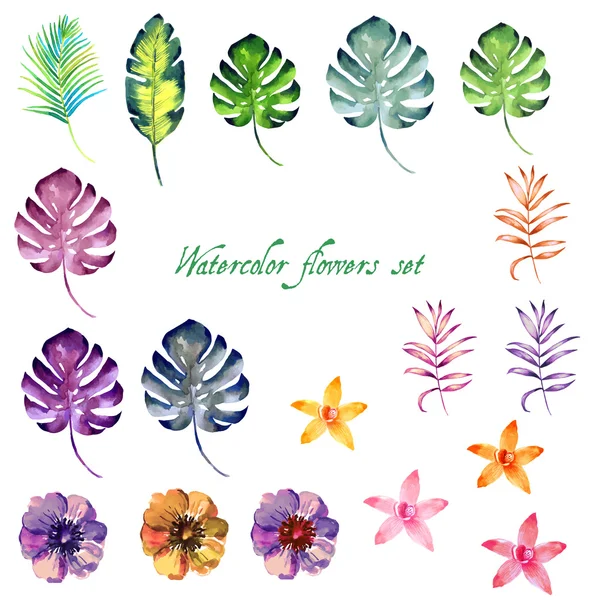 Conjunto floral de acuarela para su diseño . — Archivo Imágenes Vectoriales