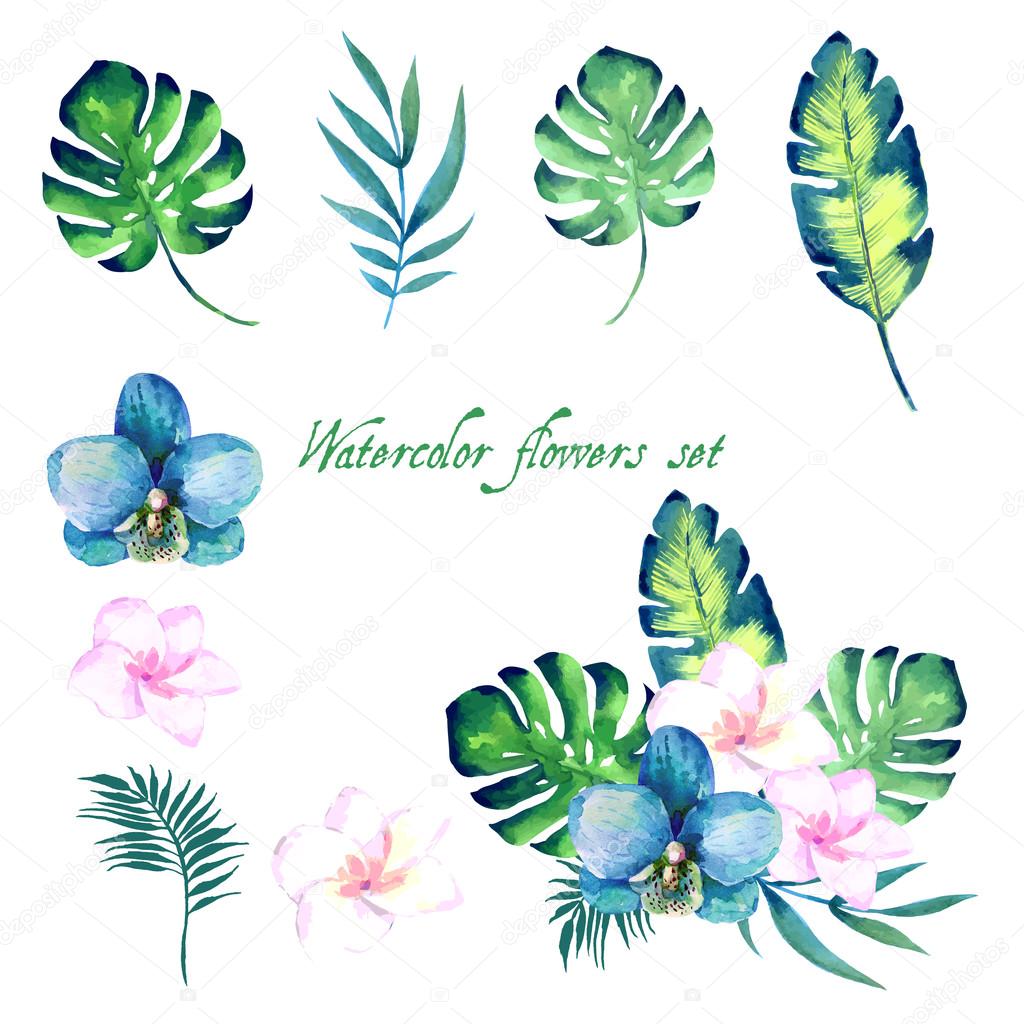 Watercolor floral set for your design.