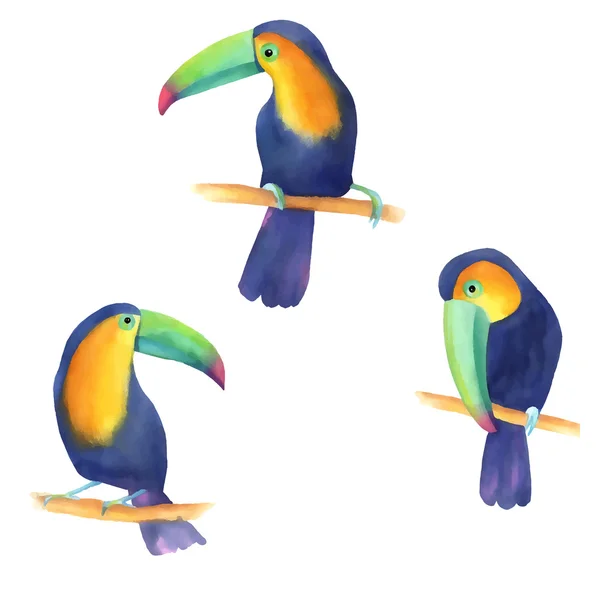 Illustration aquarelle avec toucans — Image vectorielle