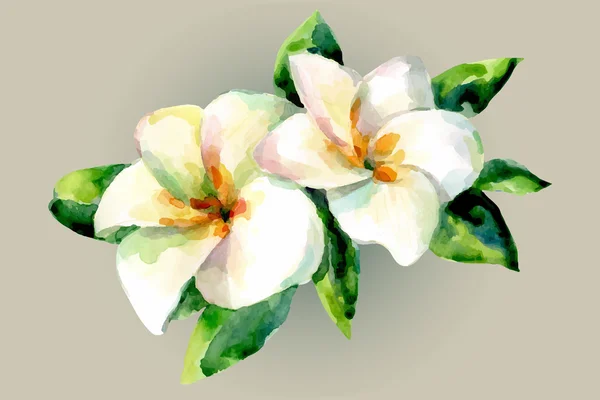 Akvarell blommor kort — Stock vektor
