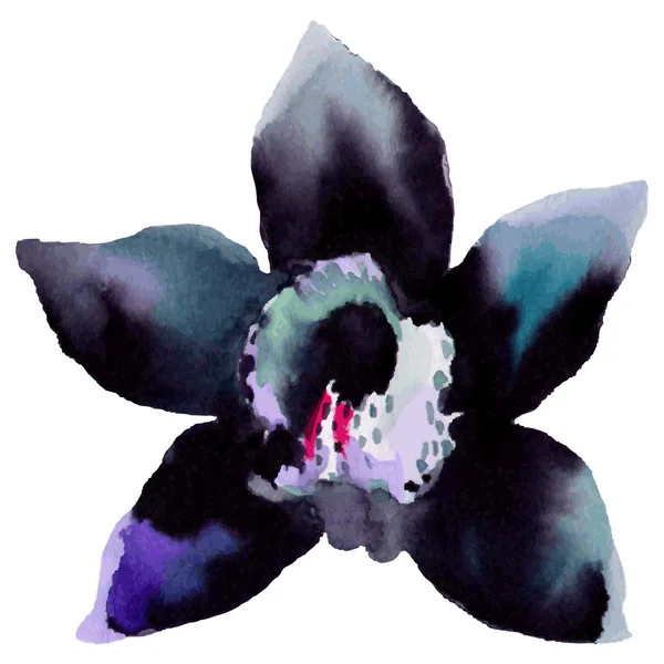 Ilustração de flor de orquídea — Vetor de Stock