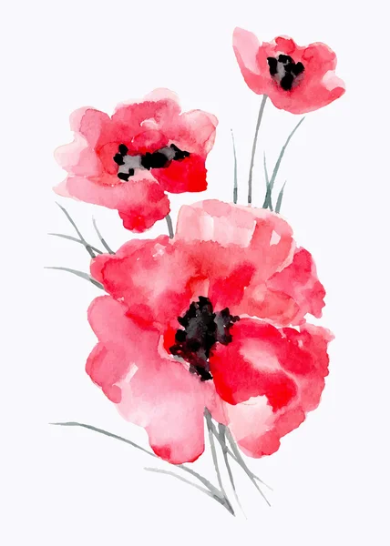 Aquarel illustratie van aRode bloem op een witte achtergrond. — Stockvector