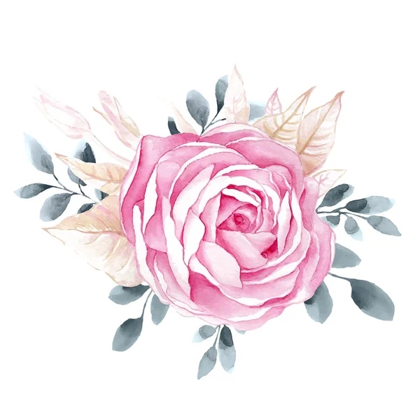 Aquarel illustraties van rose bloem geïsoleerd op witte achtergrond. — Stockvector