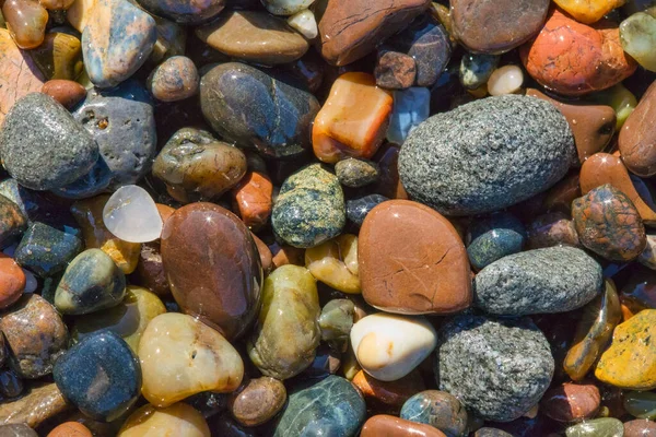 Nombreux Rochers Colorés Moonstone Beach Cambria Californie Large Pacific Coast — Photo