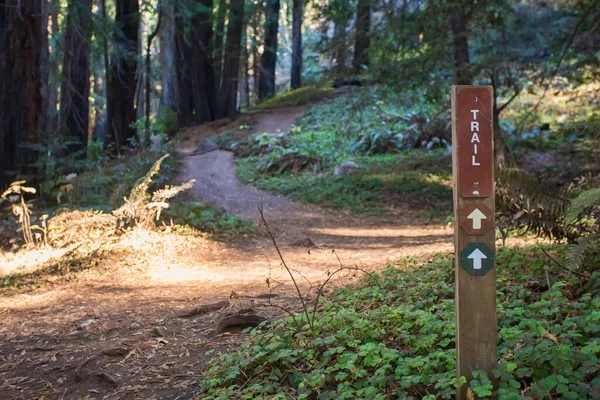 Kaliforniya, Big Sur 'daki Redwood ormanında basit bir yürüyüş işareti..