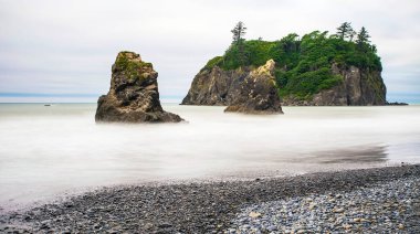 Washington 'daki Ruby Beach' te birkaç deniz yığınına uzun süre maruz kalmışlar..