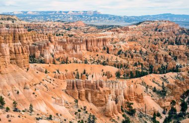 Bryce Canyon, Utah 'daki haydutların manzarası. Sonbaharda vuruldu..