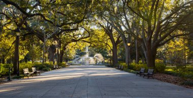 Savannah, Georgia 'daki Forsyth Park' ta güneşli bir sonbahar günü..