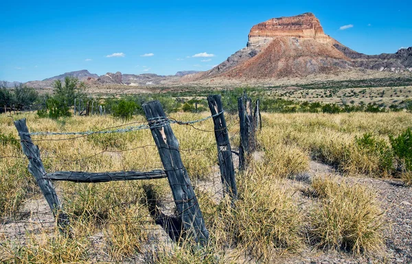 Teksas 'taki Big Bend Ulusal Parkı' ndaki Cerro Castellan dağını resmeden çöl manzarası..