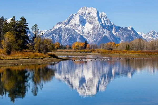 Renkli sonbahar sezonunda Grand Teton Ulusal Parkı 'nda Oxbow Bend' de. Moran Dağı nehre yansıyor..