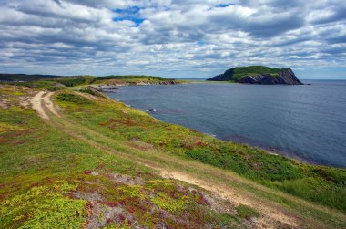 Newfoundland 'daki Fox Adası manzarası, Trinity yakınlarındaki yürüyüş parkurundan görülüyor..