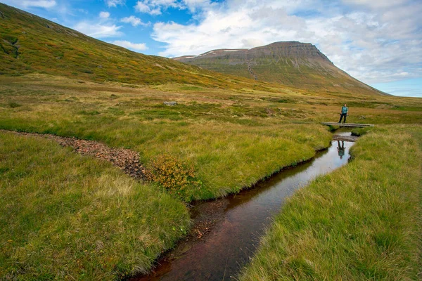 一位背着背包的女徒步旅行者在冰岛田园诗般的环境中 在一条小河上的桥上停下来 — 图库照片