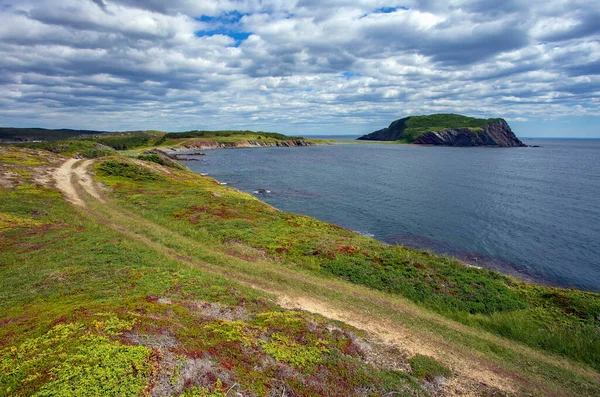Newfoundland Daki Fox Adası Manzarası Trinity Yakınlarındaki Yürüyüş Parkurundan Görülüyor — Stok fotoğraf