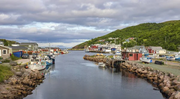 Newfoundland, Kanada 'daki Petty Harbour' un renkli balıkçı köyü.