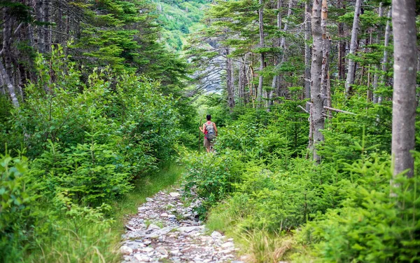 Sırt çantası takan ve elinde baston taşıyan bir kadın Newfoundland 'ın doğu yakası patikasında yürüyor..