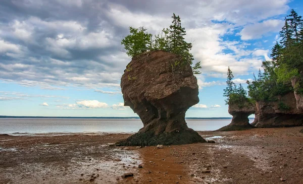 Σχηματισμοί Βράχων Flowerpot Στο Hopewell Rocks Στη Νέα Σκωτία Καναδάς — Φωτογραφία Αρχείου