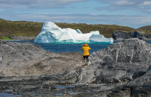 Parlak sarı ceketli bir kadın turist, Newfoundland, Noddy Körfezi yakınlarında bir buzdağının fotoğrafını çekiyor..