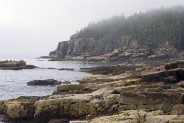 Acadia Ulusal Parkı 'nda sisli bir gün