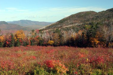 New England 'ın değişen sonbahar renkleri manzarası