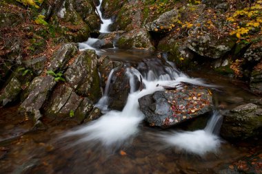 Sonbaharda Lower Dark Hollow Falls, Shenandoah Ulusal Parkı, Virginia.