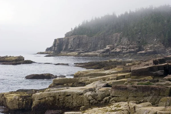 Ομιχλώδης Μέρα Στο Εθνικό Πάρκο Acadia — Φωτογραφία Αρχείου