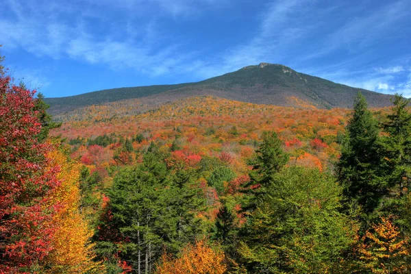 New Hampshire Sonbahar Renklerinin Süpürge Manzarası — Stok fotoğraf