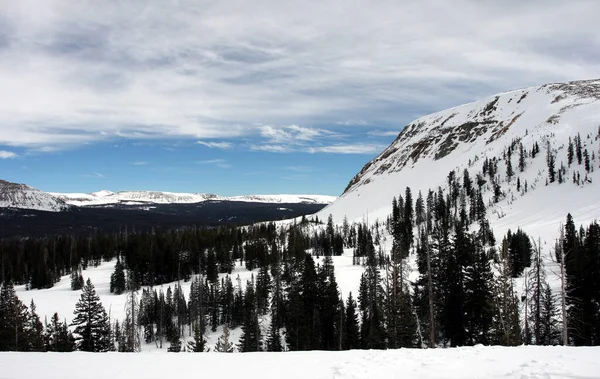 Barrer Nevado Paisaje Montaña Vista —  Fotos de Stock