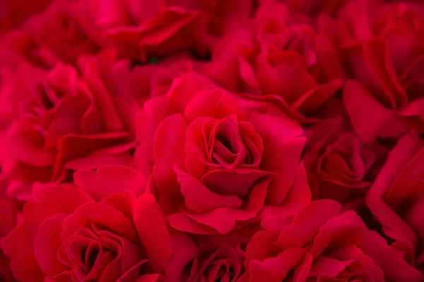 Fundo Abstrato Flores Close Red Fundo Rosa — Fotografia de Stock