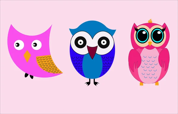 Three Colorful Owls Pink Background — Stock Photo, Image