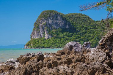 Ada Dama, ulusal rezerv, punta de choros turizmi, coquimbo bölgesi, Şili
