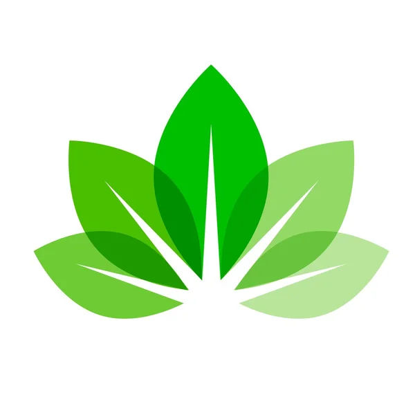 Leaves vector icon — Stock Vector
