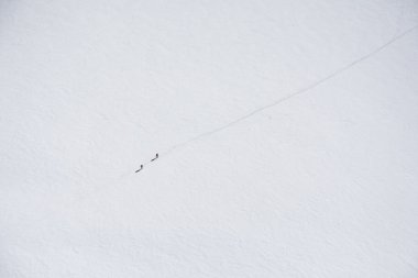 Bazı büyük arazi Chamonix, Fransa Kayak