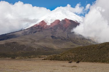 Ekvador, Güney Amerika, Andes dağ manzarası