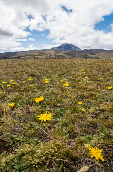 Bergslandskapet i Ecuador, Sydamerika, Anderna — Stockfoto