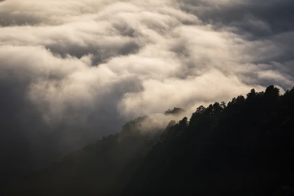 Mer de nuages sur les collines — Photo