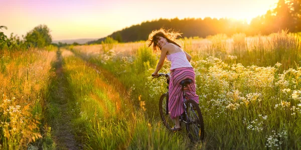 Sonnige Fahrt über Feld — Stockfoto