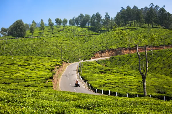 Yeşil tepelerin üzerinden binme