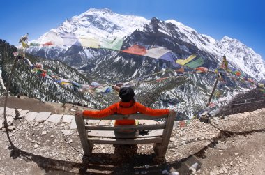 Himalayalar görünümünü