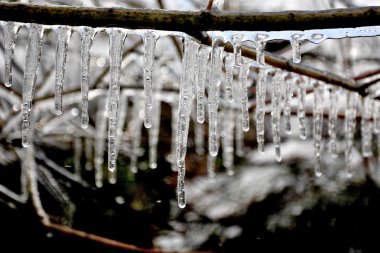 kışın buz doğal bir arka plan üzerinde
