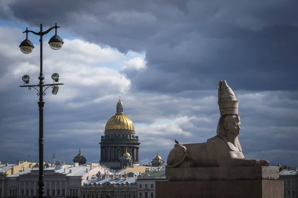 Inggris Sphinx Universitetskaya Embankment Saint Isaac Cathedral Domes Saint Petersburg Stok Lukisan  