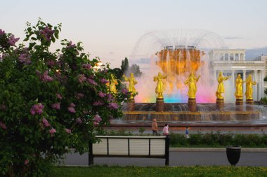 Rusya 'nın başkenti Moskova' daki Ekonomik Başarı Sergisi 'nin Dostluk Çeşmesi (VDNH)