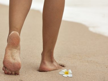 Woman's legs barefoot on sand clipart