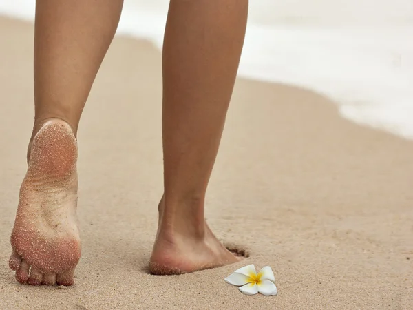 Patas de mujer descalzas sobre arena Imagen de stock