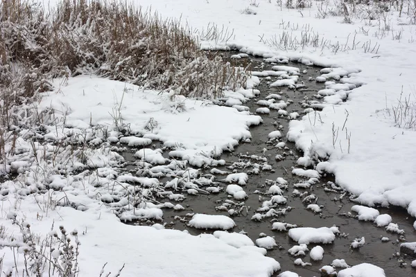 Zimowe odblokowanej creek na równinie. Krajobraz — Zdjęcie stockowe