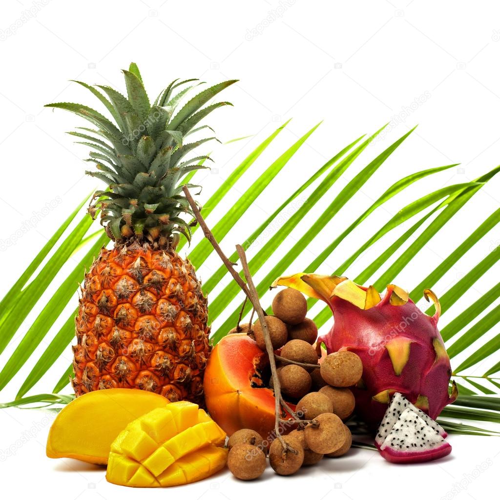 Bright still life of different tropical fruits on a green palm l