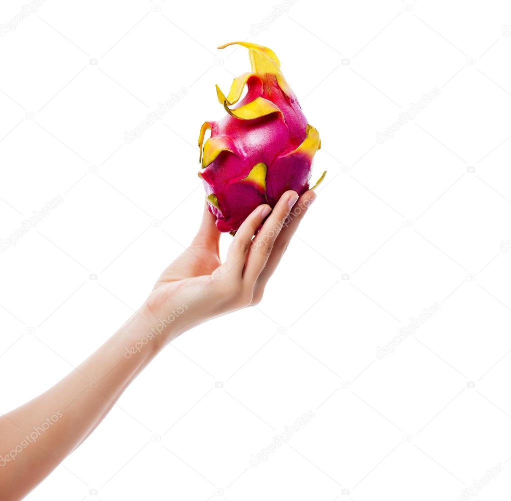 Dragon fruit in hand on white background