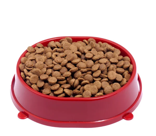 Brown asciutto gatto o cane cibo sfondo — Foto Stock