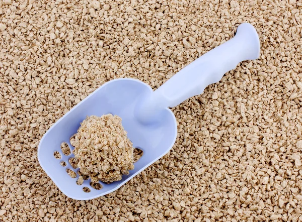 Kedi kumu Temizleme. Bir arka kümeleyerek yumru ile plastik kürek