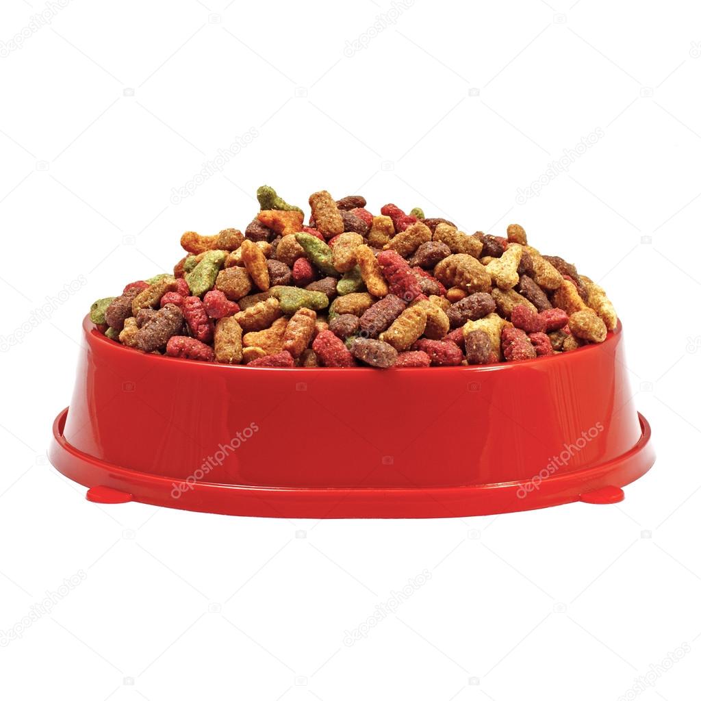 Multicolored dry cat or dog food in red bowl isolated on white